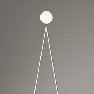One Globe-white